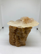 Load image into Gallery viewer, Calcite Tree Trunk
