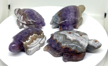 Load image into Gallery viewer, Agate / Amethyst Turtles
