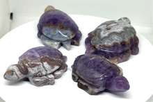 Load image into Gallery viewer, Agate / Amethyst Turtles
