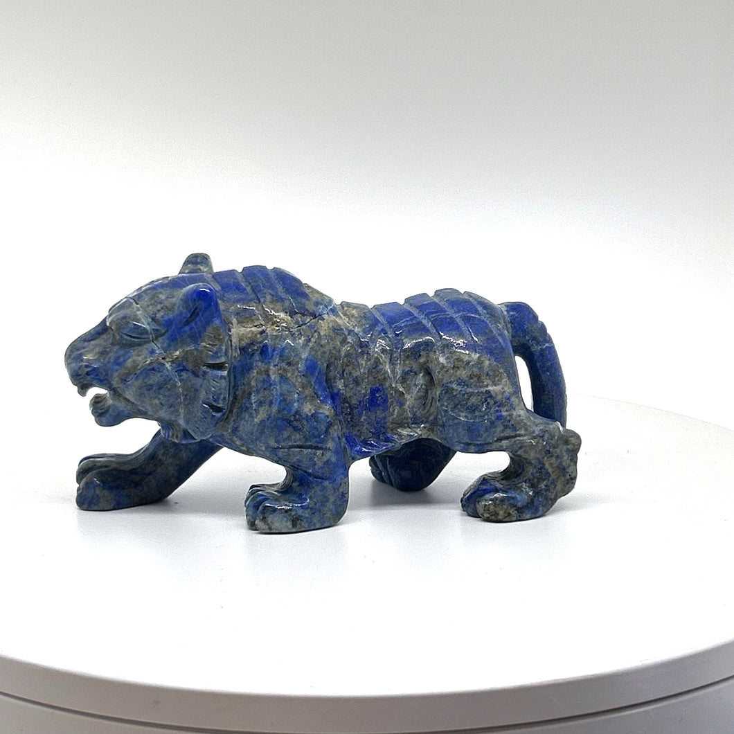 Lapis Lazuli Tiger