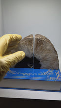 Load and play video in Gallery viewer, Geode Bookend #1
