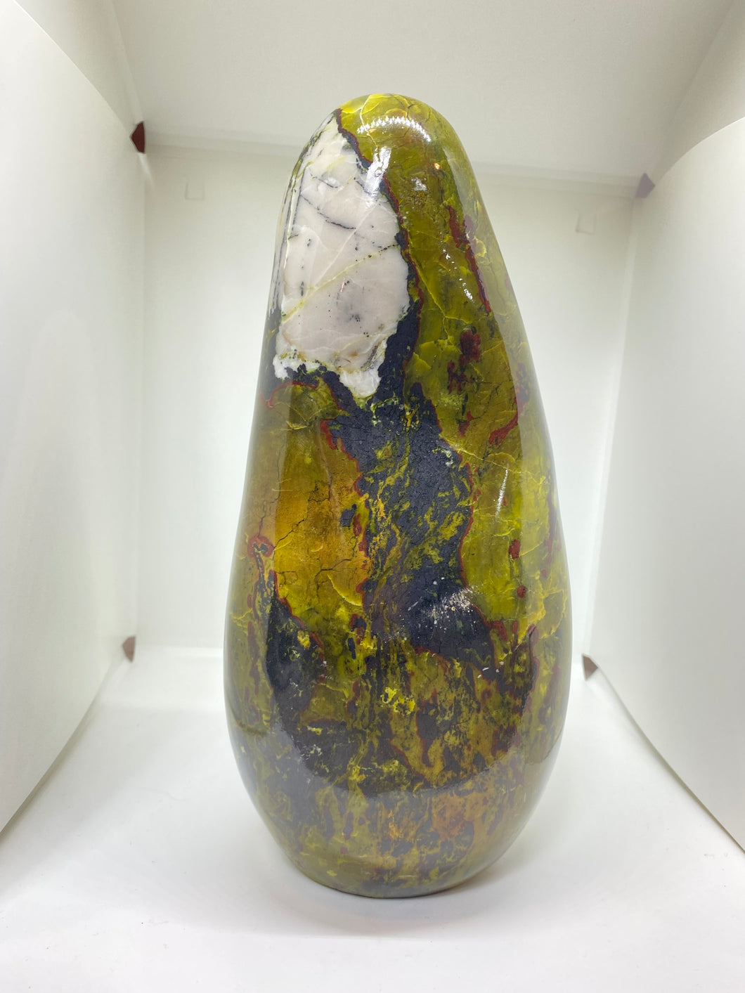 Serpentine Free Form - The Big Avocado